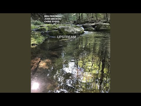 Meta (feat. John Medeski & Chris Speed)