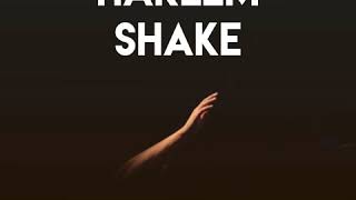 Harlem Shake Music Video