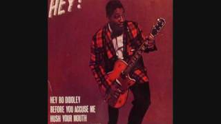 Mona Live By Bo Diddley