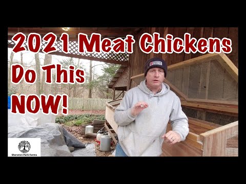 Broiler Chicken Farming - Do These 3 Things NOW!