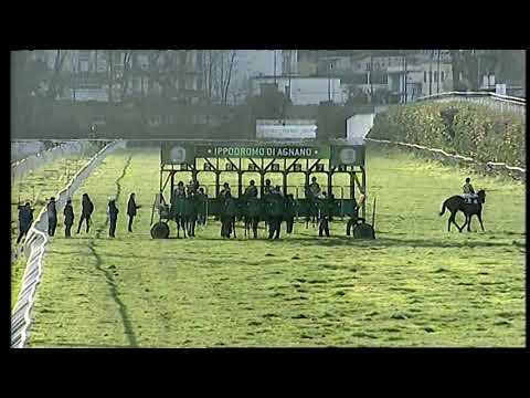 Napoli Galoppo 16/02/2021 - 6ª corsa