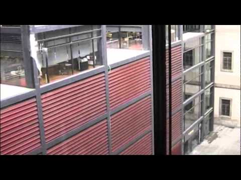 11-02-2011 El esqueleto tatuado.