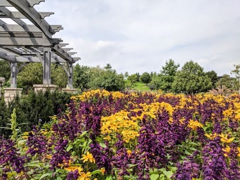 Apimondia 2019 – 10.09.2019 – Healing Plants for Self-medicating Bees – Fran Freeman