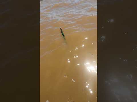 Encontré una caña flotando en el Río de la plata, ya encontré al dueño🎉