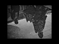 Dooie Mus - Robert Long