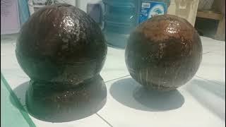 Download lagu Pembuatan Celengan Dari Batok Kelapa || Praktek Kewirausahaan mp3