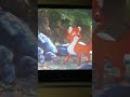 Fox And The Hound