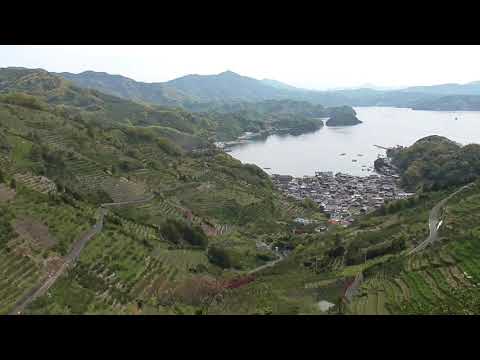 狩浜の段々畑 Karihama Terraced Farm（四国西予ジオパーク）