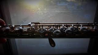 Download lagu Street Tango (Astor Piazzolla) flute : Kirio Matsuda mp3