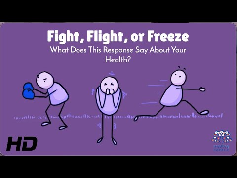 Fight, Flight, or Freeze? Your Brain’s Hidden Reaction!