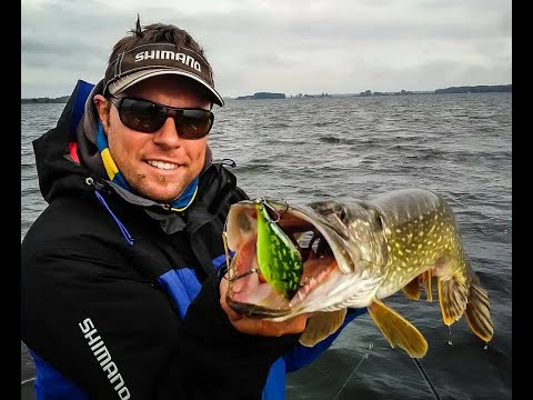 Da kann kein Räuber widerstehen! - Hybrida K1 und B1 in Poison Pike