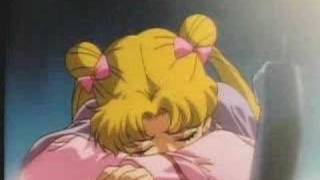 Usagi-Seiya AMV-&quot;Feel so low&quot; (Porcupine Tree)