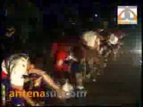 Semilla - Soltero y libre