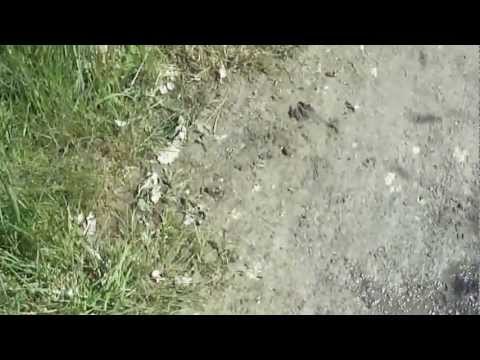 En person vurpar i lera 2012