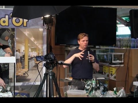 YouTube video