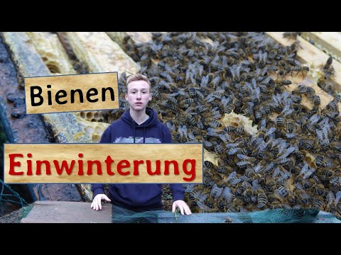, title : 'Bienenvölker einwintern - Auffütterung, Varroabehandlungen mit Ameisensäure und Milchsäure'