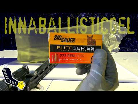 Sig Sauer Elite Series Varmint \u0026 Predator .223 Rem 40gr w/ EXTREME Expansion Tip//Ballistic Gel Test
