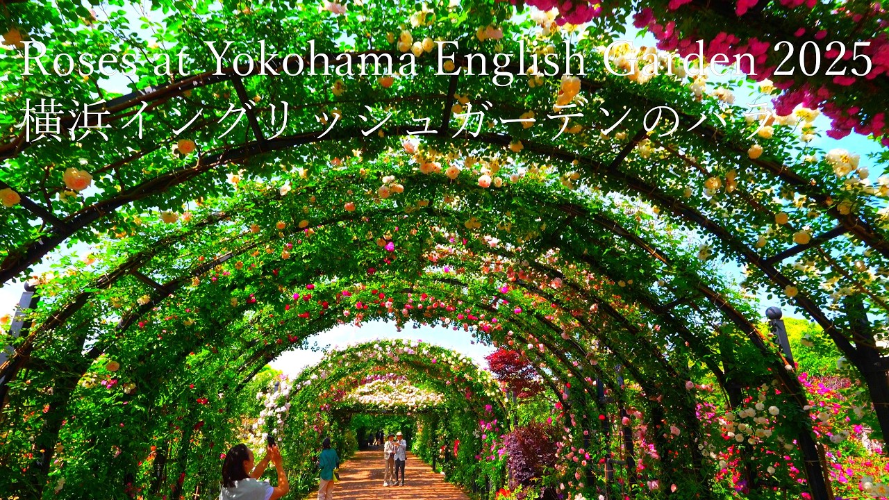 Experience virtual stroll through enchanting English Garden.