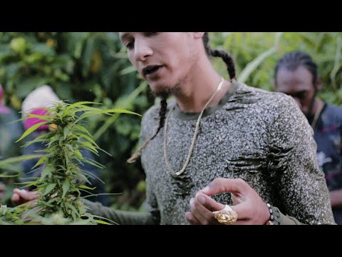 NoMannerz x Cole x Farmer G - I Love Weed (Official Music Video)
