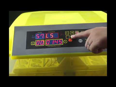 Service Provider of Egg Incubator & Mini Eggs Incubator by SN Poultry ...