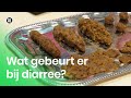 Wat gebeurt er in je lichaam bij diarree? | Vragen van Kinderen