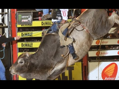 Minuto do Rodeio 47: DIVINAEXPO 2015 - Round I