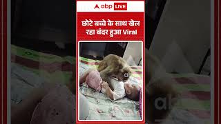 Viral Video : छोटे बच्चे के साथ खेल रहा बंदर हुआ Viral | #monkeyandbab