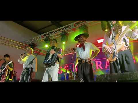 Bugio da fronteira Os serranos Chapelão Arapoti-Pr 26/10/2025