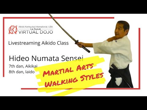 Livestream - Hideo Numata Sensei:  Aikido 7th dan  • Iaido 8th dan (Martial Arts Walking Styles)