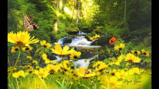 Metropolitain Jazz Affair - Yunowhathislifeez (Jazz Mix) + 180 video