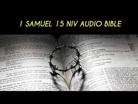 1 SAMUEL 15 NIV AUDIO BIBLE (with text)