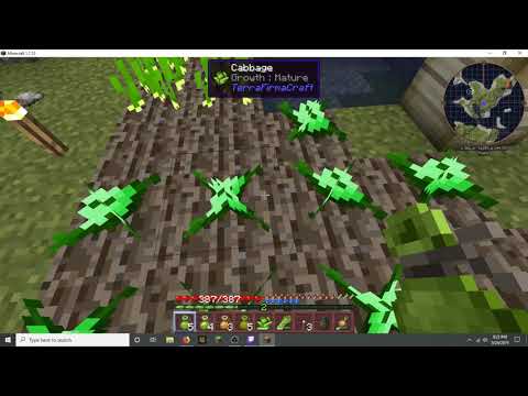 Hardcore TerraFirmaCraft Ep. 33 House Done!