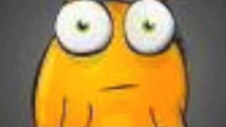 Emily Wells - Mt. Washington