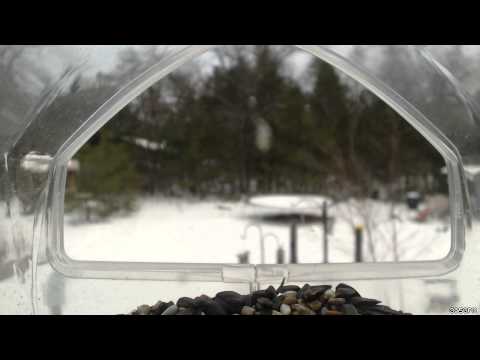 2014-11-16 WindowCam