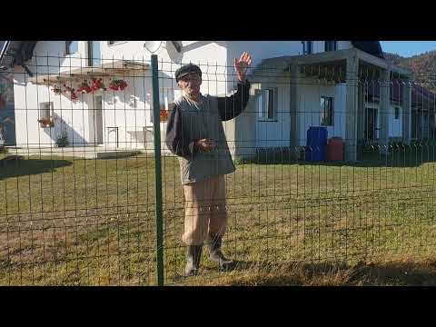 De ce armata romana la ordinul generalului Ion Antonescu a trecut Nistrul?