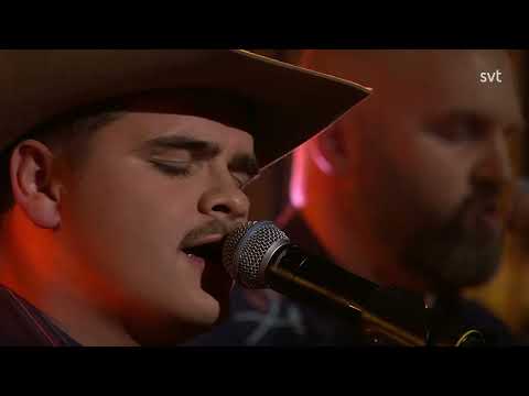 Tobias Sten - Fy faen du e deili (Live - SVT)