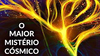 Por Que o Universo Tem Essa Aparência?