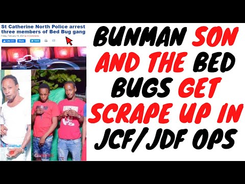 Spanish Town Bed Bug 87s Get Swift Raid In Major JDF/JCF Operation