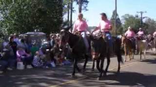 preview picture of video '2008 Mule Day Calvary, Georgia, November 1, 2008'