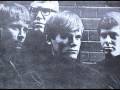 The Fogcutters - "Cry, Cry, Cry!" (1965 Garage Punk)