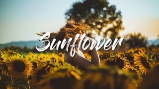 Sierra Burgess (Shannon Purser) - Sunflower (Movie Version) [한글/가사/해석/lyrics]