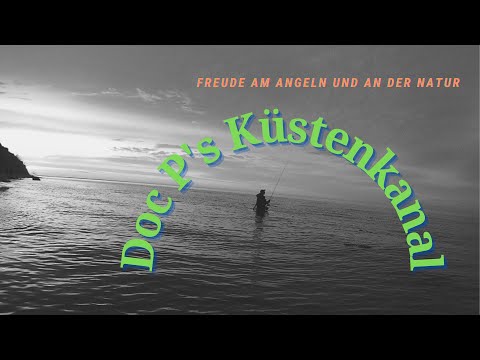 Meerforellen extrem aktiv am Morgen