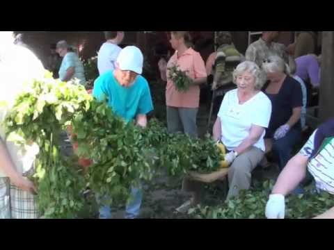 Kranzbinden Interview Teil 2