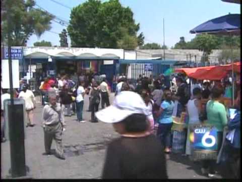 Expert Advice on H1N1 (Swine Flu) - Alvarado Hospital