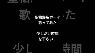 聖槍爆裂ボーイ/れるりり様 #shorts #歌ってみた #アカペラ