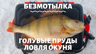 Рыбалка в караганде весной