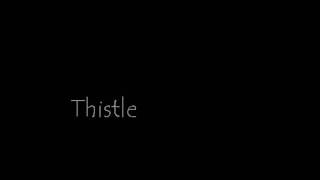 Thistle - Contrary to Popular Belief