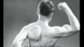 Pony Bravo Promo Video 2008