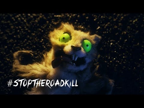 Roadkill Killer