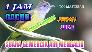 Download lagu Masteran burung cucak jenggot gacor dan suara gemercik air mengalir durasi 1 jam mp3